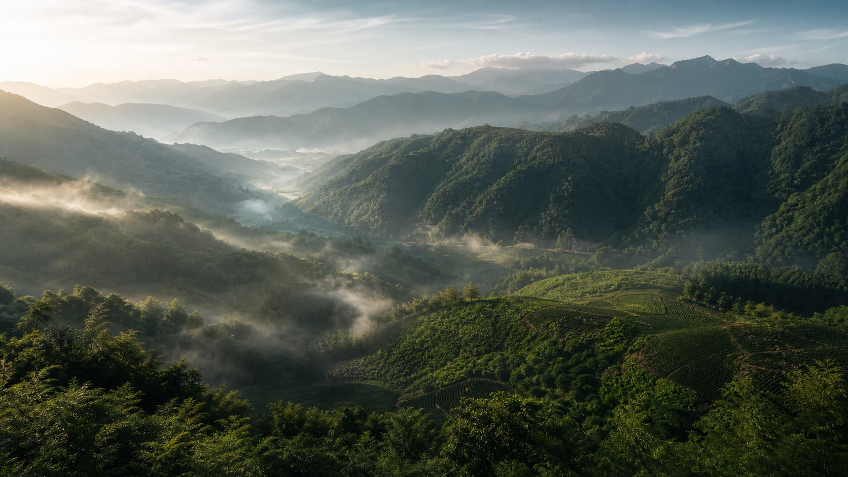 云雾环绕的核心原产地山脉与山地种植区