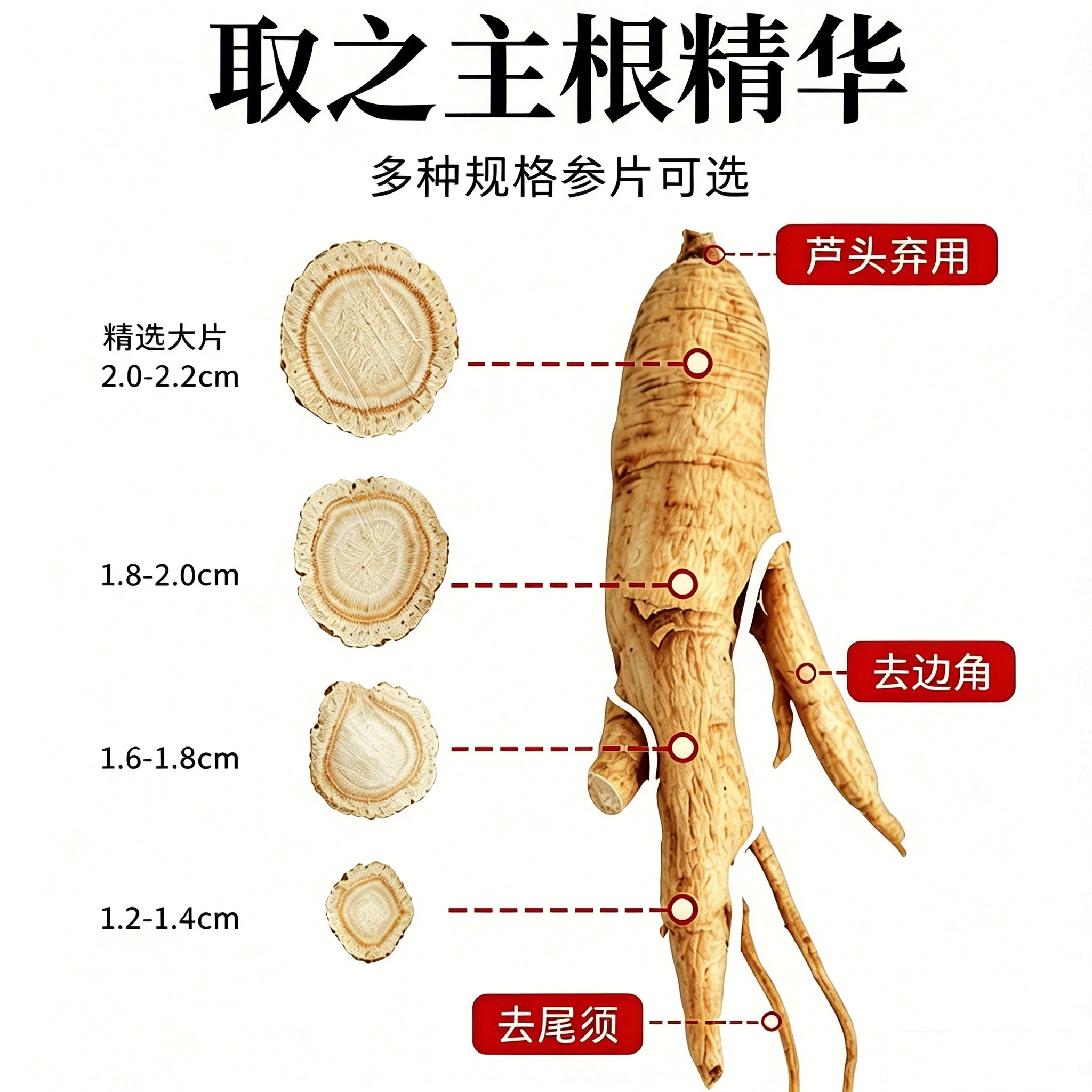 西洋参原根不同位置切片规格示意