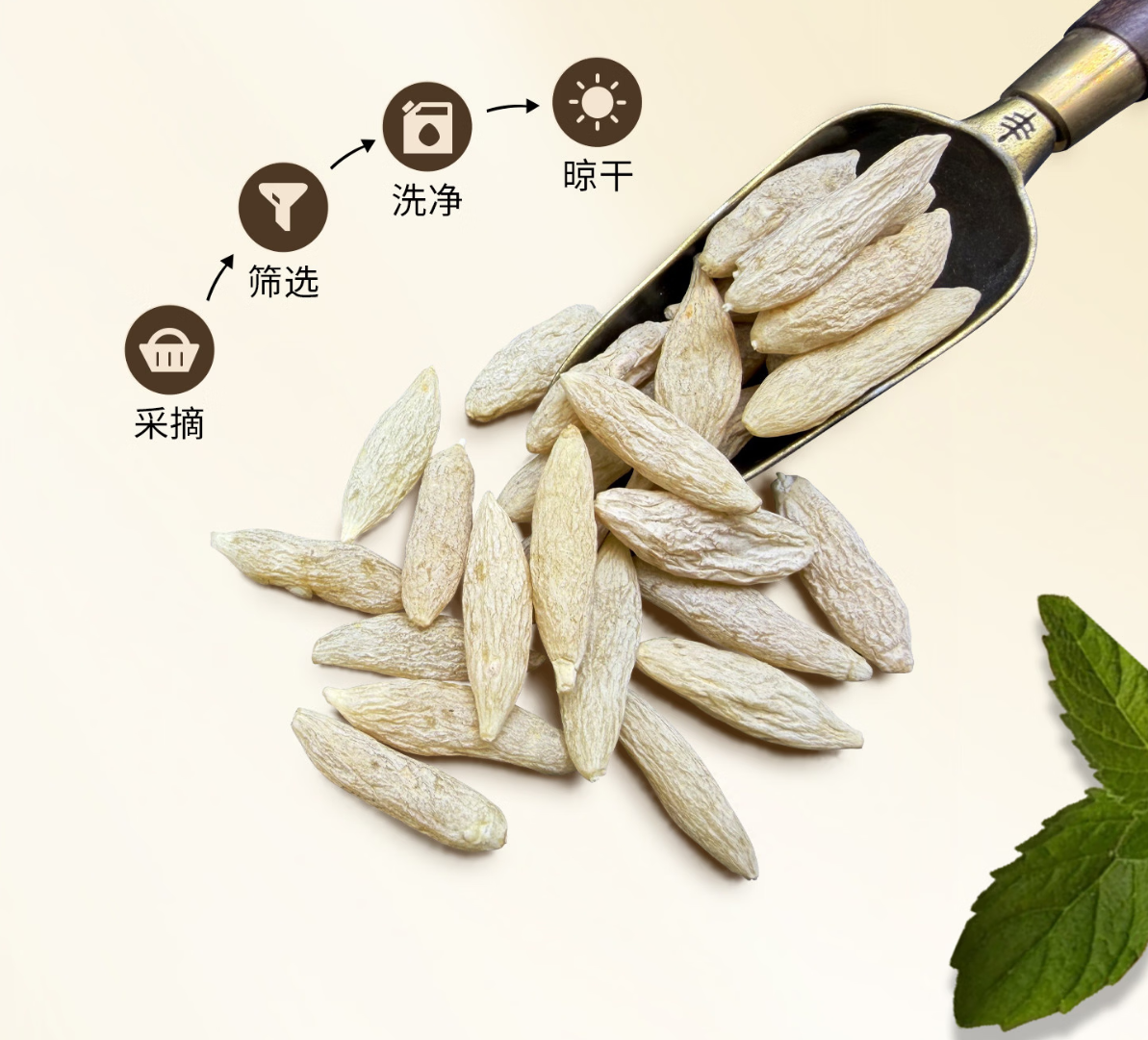 臻万宝麦冬饮用时长全指南